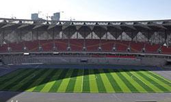 Non-Infill Artificial Turf