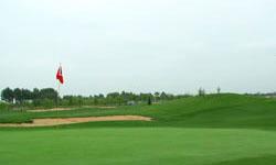 Golf Artificial Turf