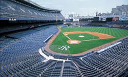 Baseball Artificial Turf