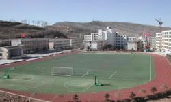 Multifunctional Artificial Turf
