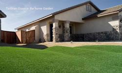 Landscaping Artificial Turf
