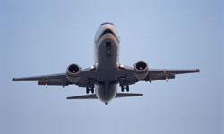 Airport Artificial Turf