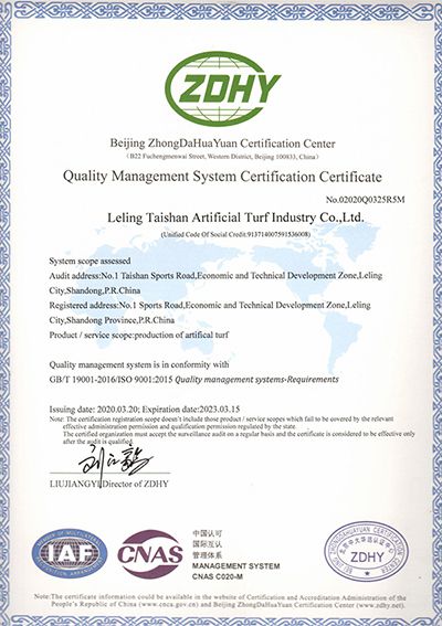 ISO9001 Quality Management System Certification 
