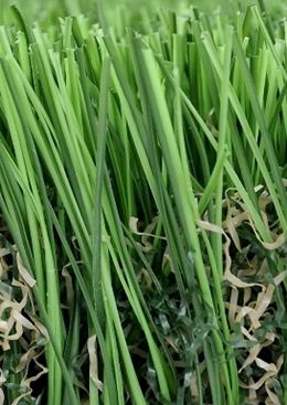TS Magicgreen Landscape Grass