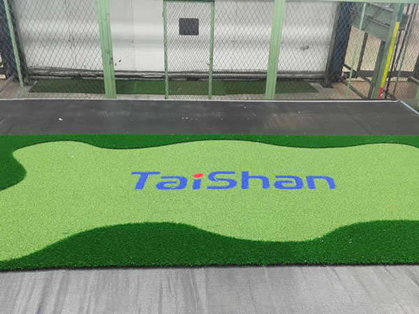 Patterned Artificial Grass