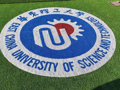 Patterned Artificial Grass