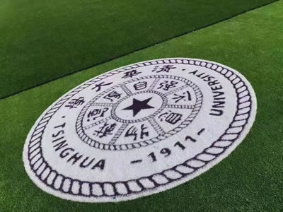 Patterned Artificial Grass