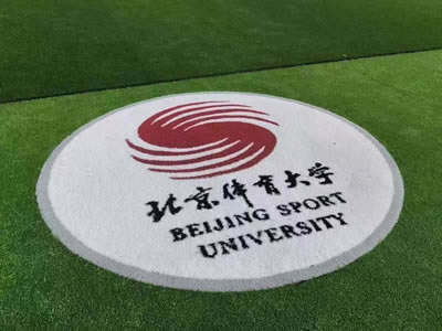 Patterned Artificial Grass