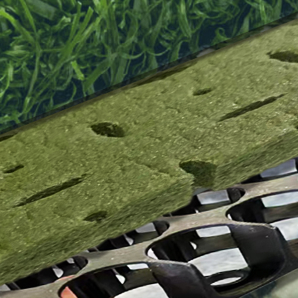 Artificial Grass System